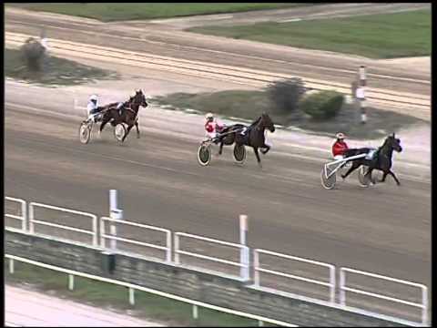 Trotto 23/10/2014 - 3° prova di riqualifica