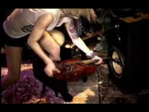 The Veronicas - CHANGE]