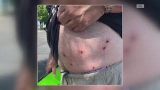 Protestors recount BB gun shootings at Auburn 'No Kings' rally