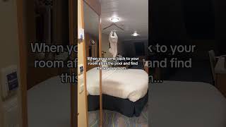 Towel animal that stole our hearts #cruise #travel #hack