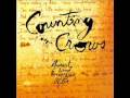 Raining In Baltimore - Counting Crows