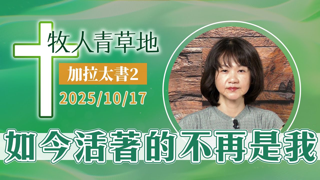 如今活著的不再是我