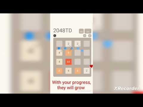 2048TD Video