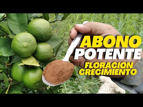 Mayor Floración y Crecimiento para tus cítricos | Abono Potente para tu limonero