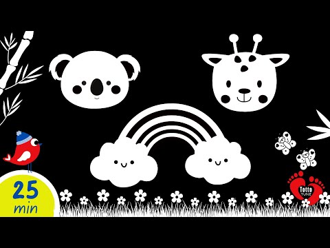 High Contrast Baby Sensory | Black & White Animal Video for Newborn