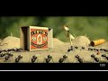 Red Ant Vs Black Ant Movie Clip