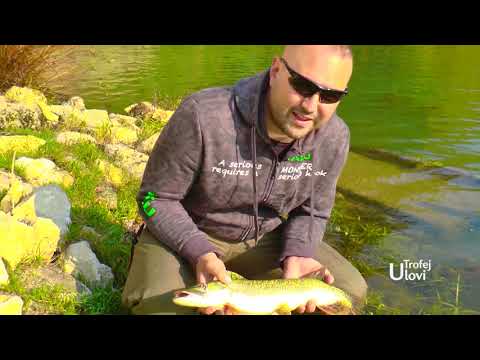 Ulovi Trofej - Lov stuke u Sloveniji