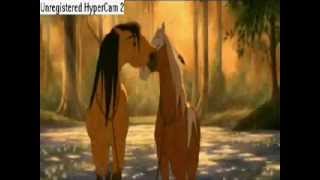 spirit circle of life