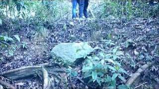preview picture of video 'Caminata por Arbeláez (Colombia)'
