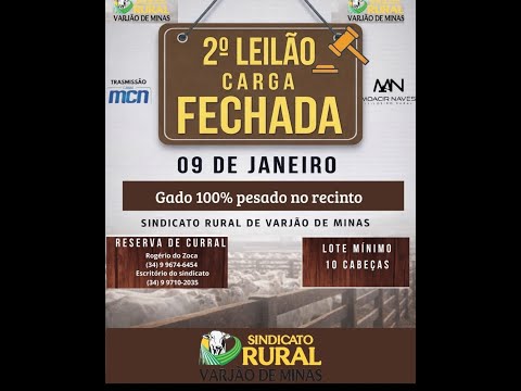 🐮 2º LEILAO CARGA FECHADA - VARJAO DE MINAS - MG