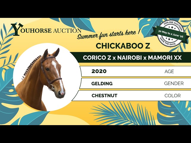 Chickaboo Z