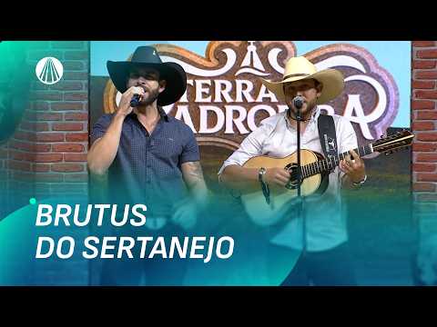 Padroeira Sertaneja - Sertanejo Para Aparecida