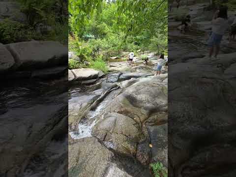[SNS직원서포터즈] 동산계곡ASMR