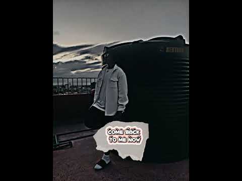 Lucy - Sunrise Alfie {Official Lyrics Video}