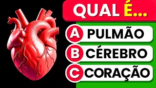 Você Consegue Passar Neste Quiz Sobre o Corpo Humano? 🧠 Faça Este Quiz de Anatomia! 📚🫁👁️