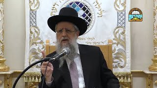 הרב דוד יוסף – עדותו של הגאון רבי משה שמואל שפירא זצ"ל על שקידתו של מרן זצוק"ל