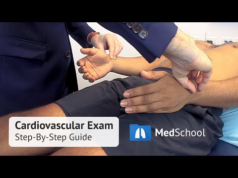 Cardiovascular Exam In Detail: Our Step-By-Step Video Guide