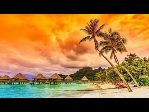 World beaches || the best beaches around the world || The glowing beaches|| beaches around the world