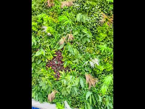 Vertical garden Supplier Bangalore
