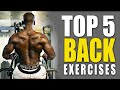 5 Best Back Exercises At Gym To Build Your Back Muscles Size And Strength