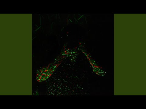 download lagu mp3 mp4 Paris Lau Campbell, download lagu Paris Lau Campbell gratis, unduh video klip Paris Lau Campbell