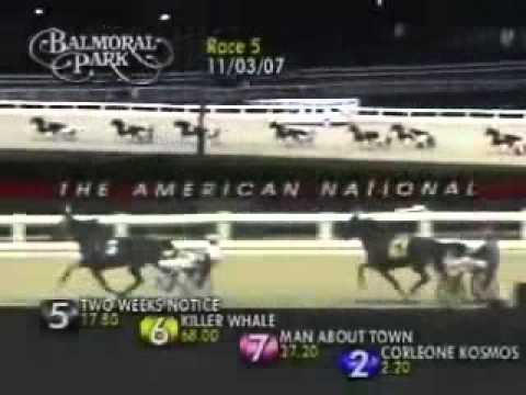 American National Open Trot 2007 -Corleone Kosmos