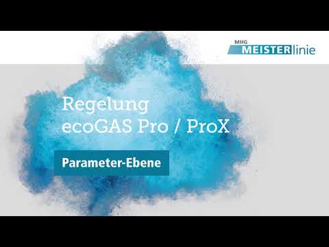 Regelung ecoGAS Pro / ProX - Parameter Ebene
