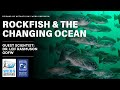 Rockfish and the Changing Ocean, by Dr. Leif Rasmuson