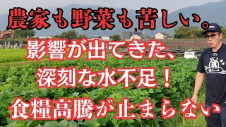 Farmers are also making efforts to protect their vegetables from the severe water shortage and se...