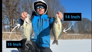 Hammering Massive Crappie (New PB)