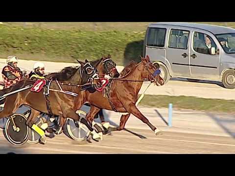 Aversa trotto 8 Gennaio 2020 - 2° Corsa