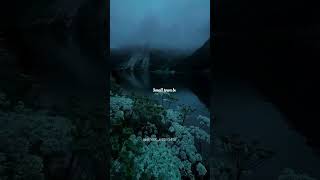 Download lagu Arcade - Duncan Laurence | lyrics | Aesthetic | Whatsapp Status | Sad | #shorts​ #arcade​ #sadstatus mp3