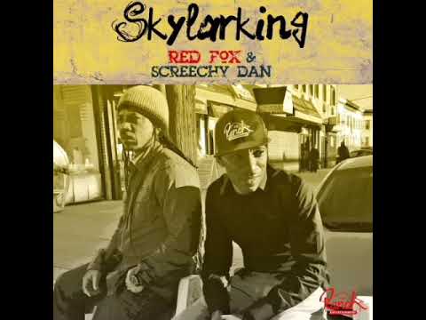 Red Fox & Screechy Dan - Skylarking 432Hz