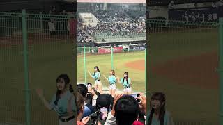 【TeamTaiwan】#台灣尚勇 #衣宸 #包子 #禹菡 #冬季聯盟@斗六棒球場 20241130 #台湾チア #啦啦隊  #cheerdance #cheerleader #cpbl #awb