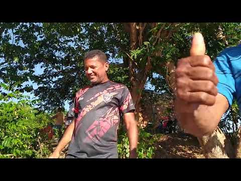 Participação masculina: Canoagem na Festa do Peixe em São Sebastião do Tocantins