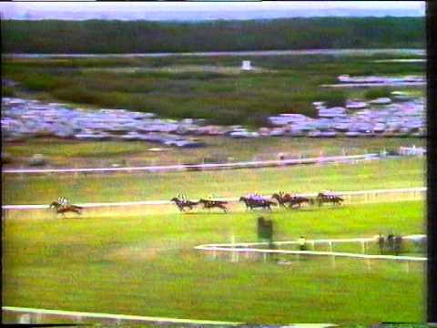 1990 Prince Of Wales's Stakes