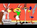 20 Minuten In Denen Wile E Coyote Ein Heißes Durcheinander Ist Looney Tunes GenWBDeutschland