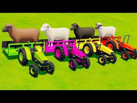 TRANSPORTING SHEEPS WITH COLORED UNIVERSAL TRACTORS & SCANIA TRUCKS - Farming Simulator 22