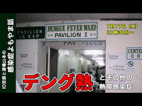 看護学科 デング熱