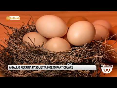 TG BASSANO (18/04/2019) - GALLIO SFIDA AL “TIRO DEI OVI”