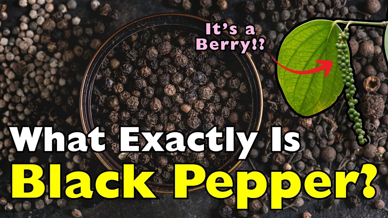 What Exactly Is Black Pepper? This Spice Was Once Worth Gold [ID0620]