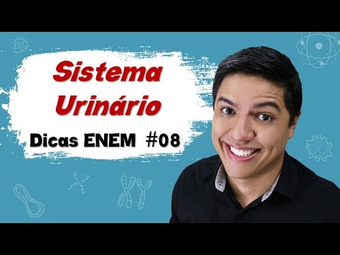 SISTEMA URINÁRIO OU EXCRETOR - DICAS ENEM BIOLOGIA #08 - Prof. Kennedy Ramos