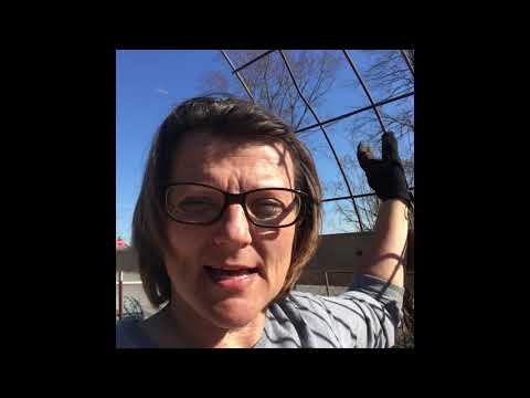 Straw Bale Garden DIY Support - Day 2 Conditioning