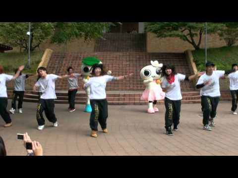 日本語日本文学科 京都橘大学　被災地応援企画「Dance with ひびき＆いく♪」