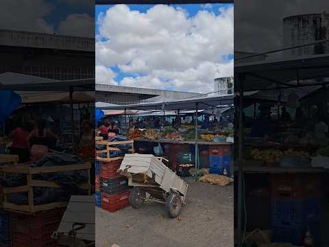 Feira livre de poço verde Sergipe #enterior #roça #registrodevida #poçoverdesergipe #shorts