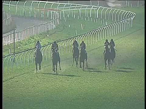 Galoppo 06/02/2018 - 4ª corsa