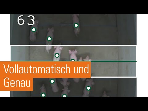 PigCounter Portable | Die revolutionäre Schweinezählung