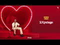 Odongo Swagg Nyalego Official Music Vizualizer