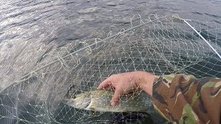 Озеро для рыбалки и отдыха в севастополе
