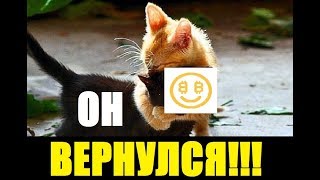 NiceHash - обзор, настройка, советы, СТАРТ!